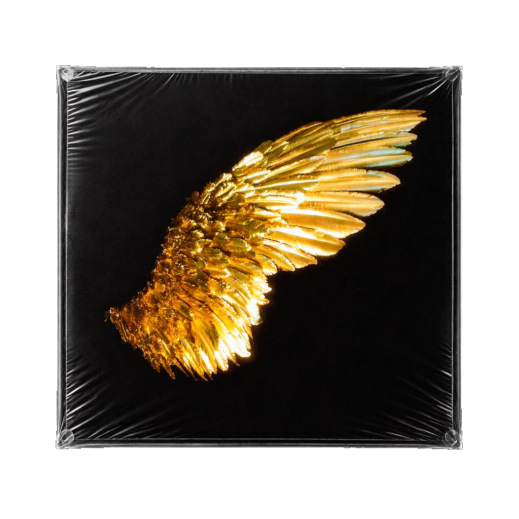 Archivo (proximamente)